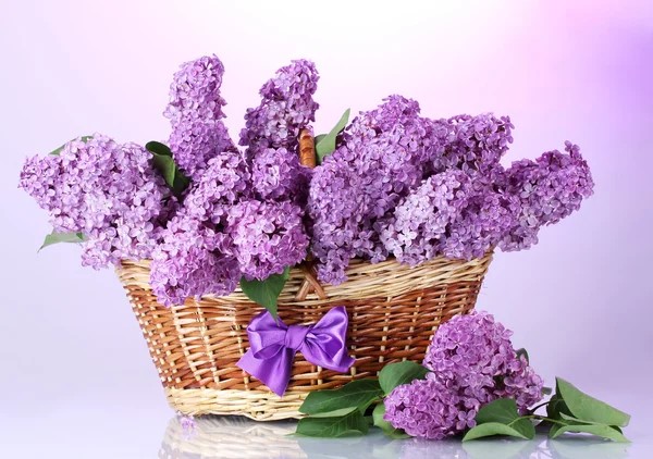 depositphotos_11319699-stock-photo-beautiful-lilac-flowers-in-basket.jpeg